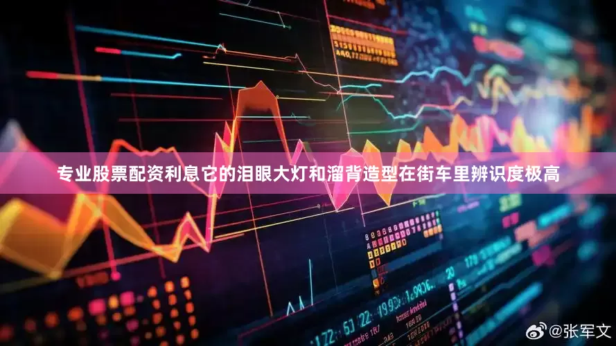 专业股票配资利息它的泪眼大灯和溜背造型在街车里辨识度极高
