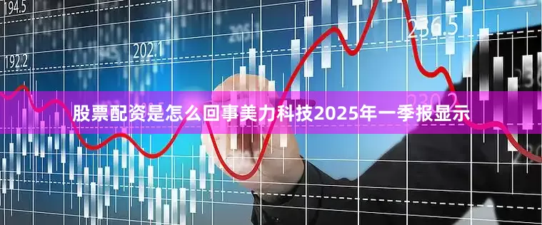 股票配资是怎么回事美力科技2025年一季报显示