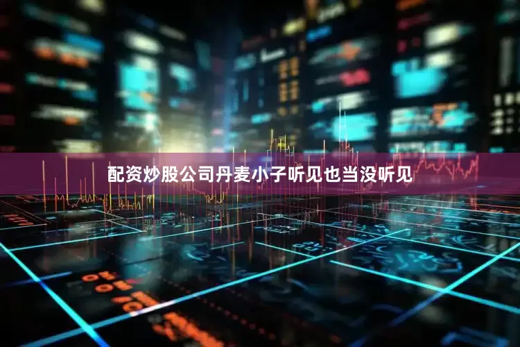 配资炒股公司丹麦小子听见也当没听见